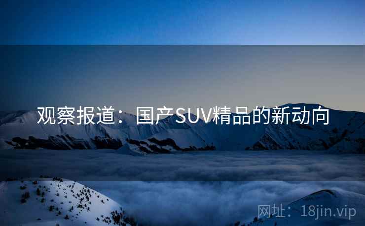 观察报道：国产SUV精品的新动向